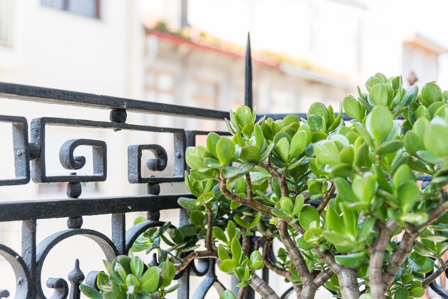 Guestready - Cosy Living In Downtown Lejlighed Porto Eksteriør billede